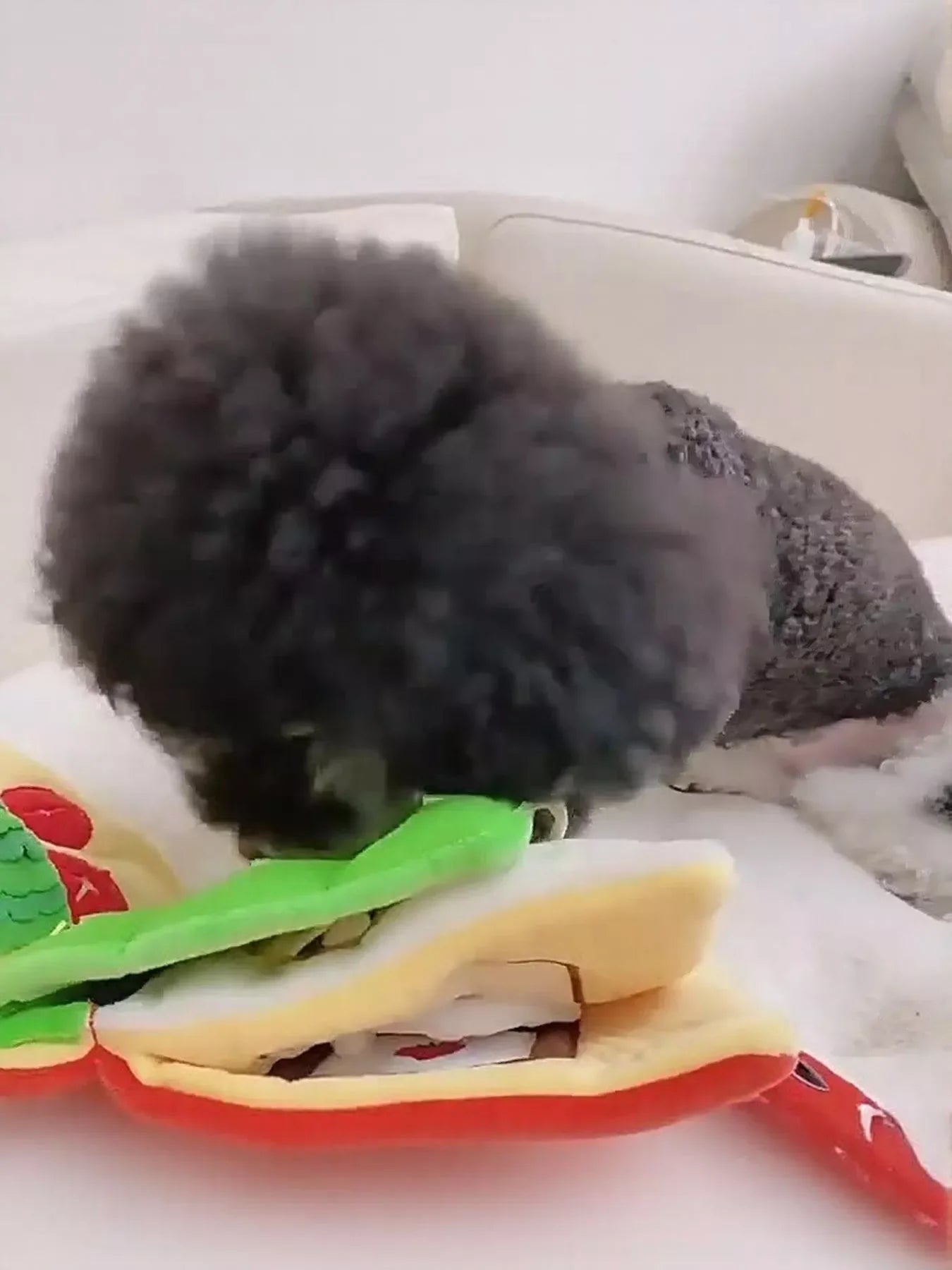 559c7b8b-57db-48ff-9c44-dd0828741d9e-Max-Origin